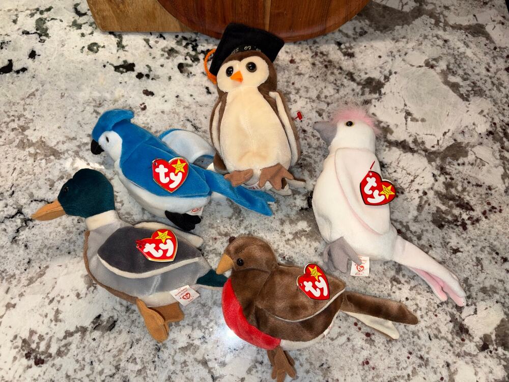 Ty Beanie Baby Bird Lot of 5 w/ Tags Rocket Jake Early Wise KuKu Retired